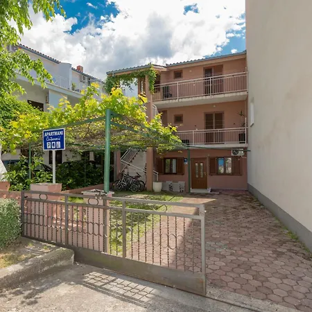 Apartment Cvita